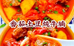 宝宝牛腩怎么做才好吃？