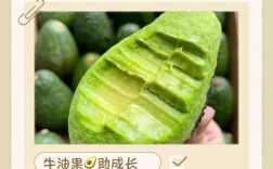 牛油果怎么做宝宝辅食？