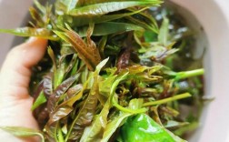 1岁宝宝能吃香椿吗？