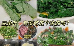 角叶家常做法有哪些？