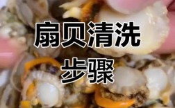 扇贝肉怎么洗才干净无泥沙？