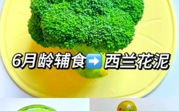 西兰花泥怎么做才细腻不腥？