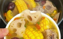 清炖排骨汤做法大全家常