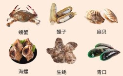 细海鲜图片大全有哪些常见种类？