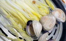 蒸汽海鲜锅怎么用才鲜嫩？