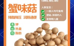 海鲜菇吃了对身体有什么好处？