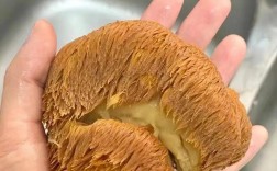 家常炒猴头菇怎么做才好吃？