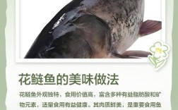 家常鲢鱼做法有哪些？