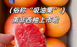 西柚和海鲜能同食吗？