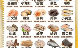 常见海鲜图片及名称大全，有哪些常见海鲜？
