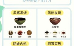 宝宝发烧时适合吃哪些菜？