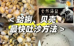 海鲜怎么快速吐沙？