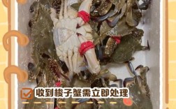 活海鲜吃不完怎么保鲜保存？