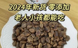 一岁多宝宝能吃松子吗？