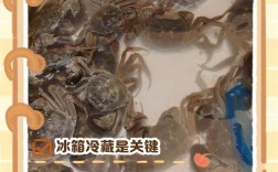 新鲜海鲜怎么保存才新鲜？