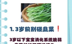 宝宝韭菜怎么做？简单美味做法看这里！
