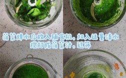 宝宝蔬菜汁怎么做好喝又营养？