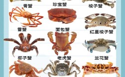这些海鲜图片和名称，你都认识吗？
