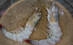 一岁宝宝虾怎么吃才安全又营养？