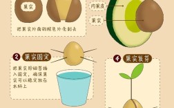 7月龄宝宝牛油果怎么吃？