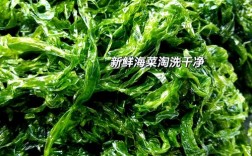 海发菜家常做法有哪些？