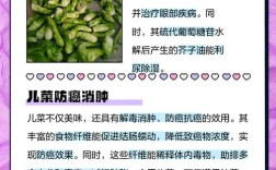 7个月宝宝能吃油菜吗？