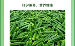 宝宝吃秋葵怎么做才好吃又营养？
