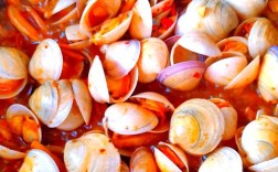 海鲜青蛤蜊怎么做？家常做法有哪些？