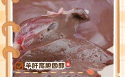 羊肝和海鲜能同食吗？