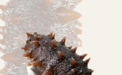 人参能和海鲜同食吗？