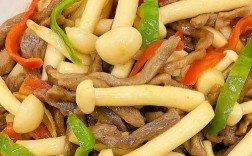 海鲜菇的做法大全图片