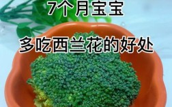 七个月宝宝能吃西兰花吗？