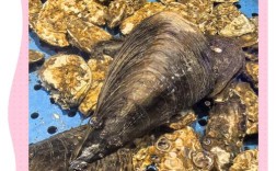 美式带子怎么做才地道？