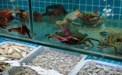 夏季海鲜热销款有哪些？