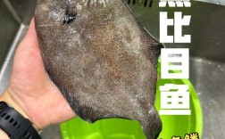 清蒸比目鱼 宝宝辅食