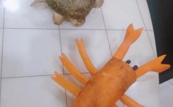 制作蔬菜宝宝图片大全