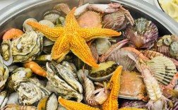 海鲜照片大全有哪些热门种类？