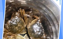 生的海鲜怎么正确保存？