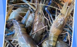 吃什么海鲜皮肤会变黑