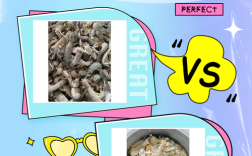 虾皮和鲫鱼算海鲜吗？