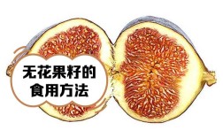 无花果籽能吃吗？