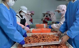 海鲜厂活儿好干吗？累人吗？