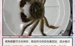 冰柜保存海鲜，这些注意事项你get了吗？