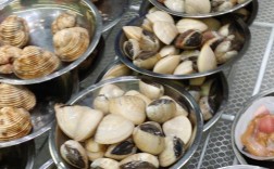 中华海鲜汇的海鲜怎样