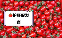 五个月宝宝能吃番茄吗？