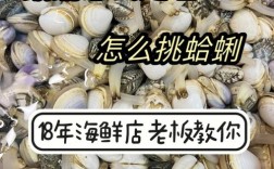 海鲜大哈利怎么处理才正确？