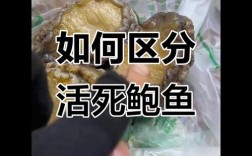 死海鲜多久吃会中毒？