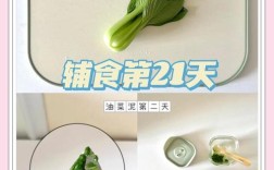 6个月宝宝蔬菜泥怎么做？关键是什么？