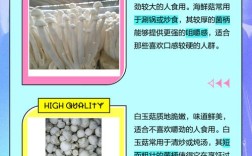 海鲜蘑菇同食会中毒吗？