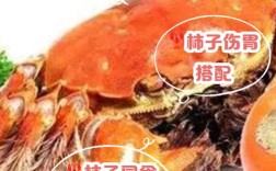 海鲜后多久能吃柿子？